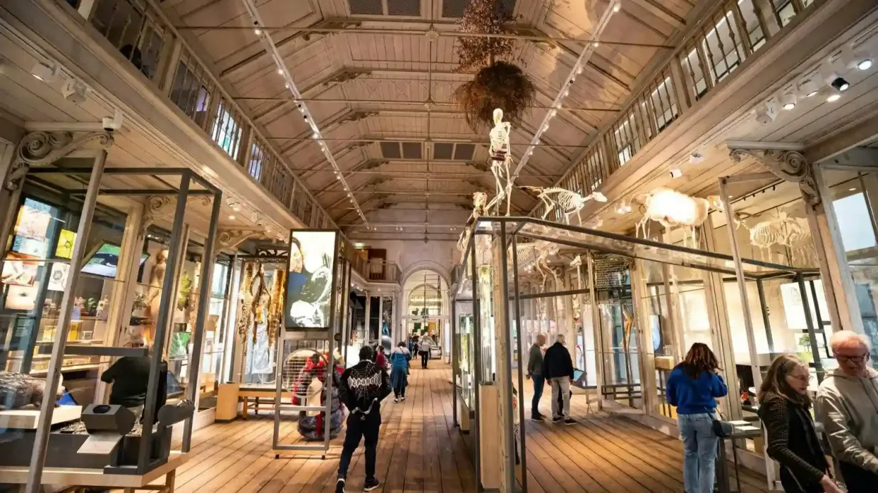 ARTIS Real Zoológico y Museo Groote de Ámsterdam: Entrada sin hacer cola