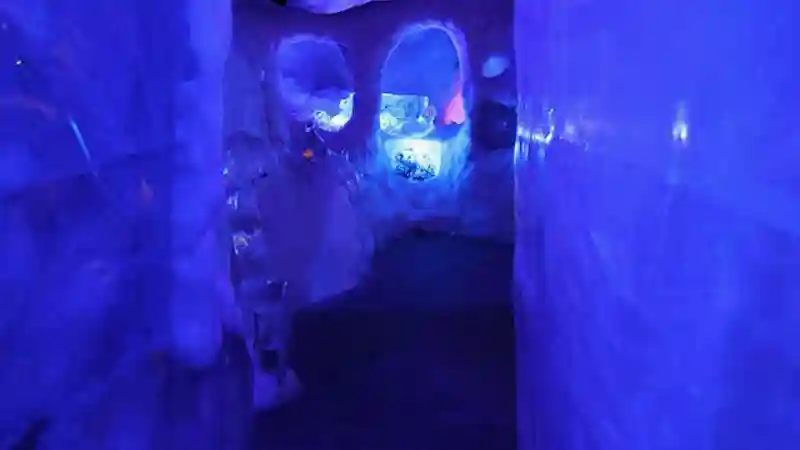 Magic Ice Bar Lofoten: Eintrittskarte Bereitgestellt von Magic Ice AS