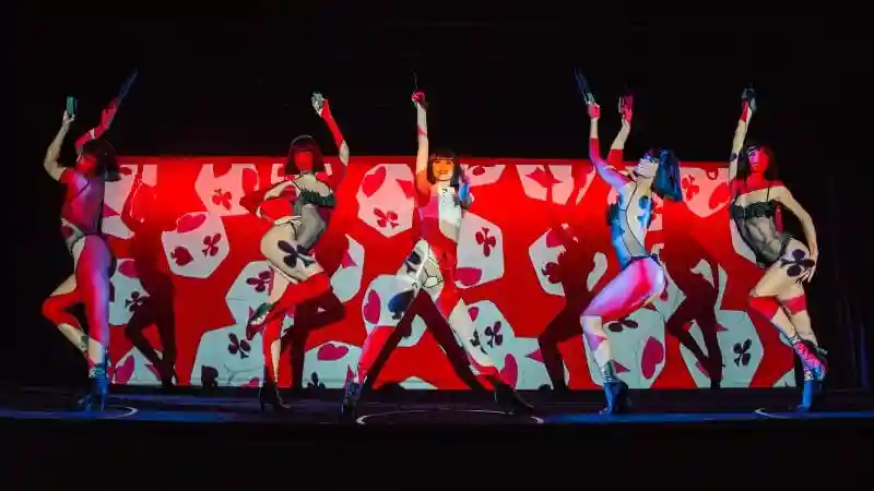 Crazy Horse Paris : Spectacle seul