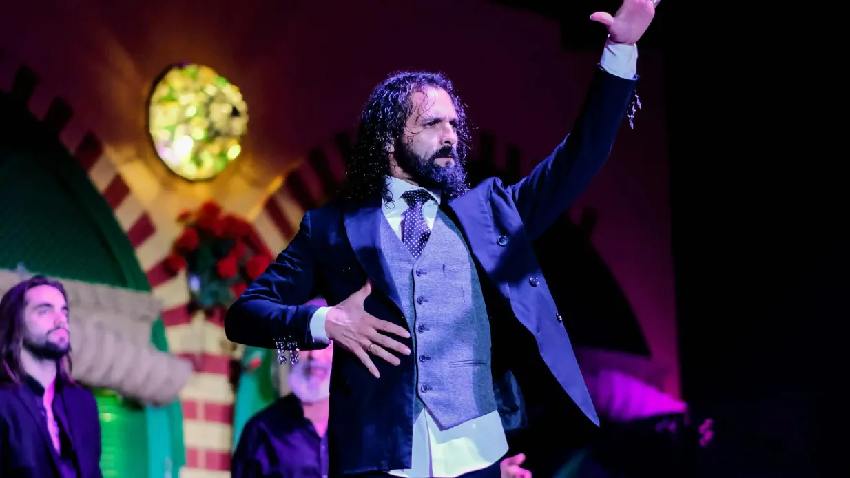 El Palacio Andaluz Siviglia: Solo Flamenco