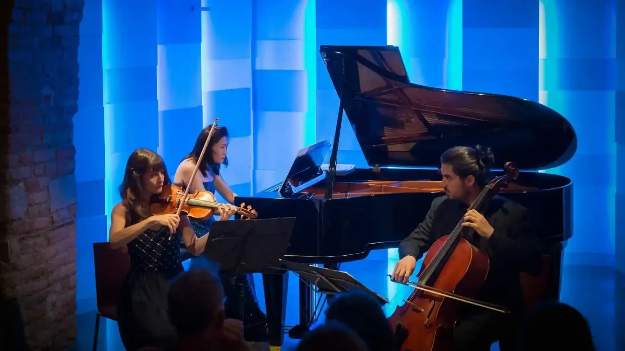Mozarthaus: Biglietto d'ingresso + Concerto classico serale del Wiener Ensemble Fornito da WEO e.U
