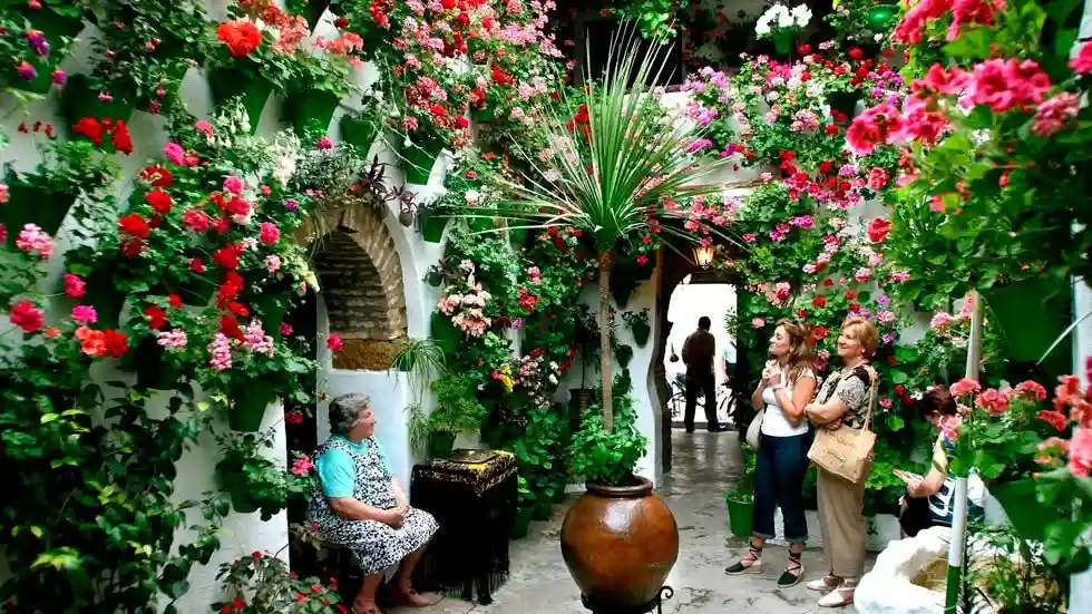 Patios von Córdoba: Führung