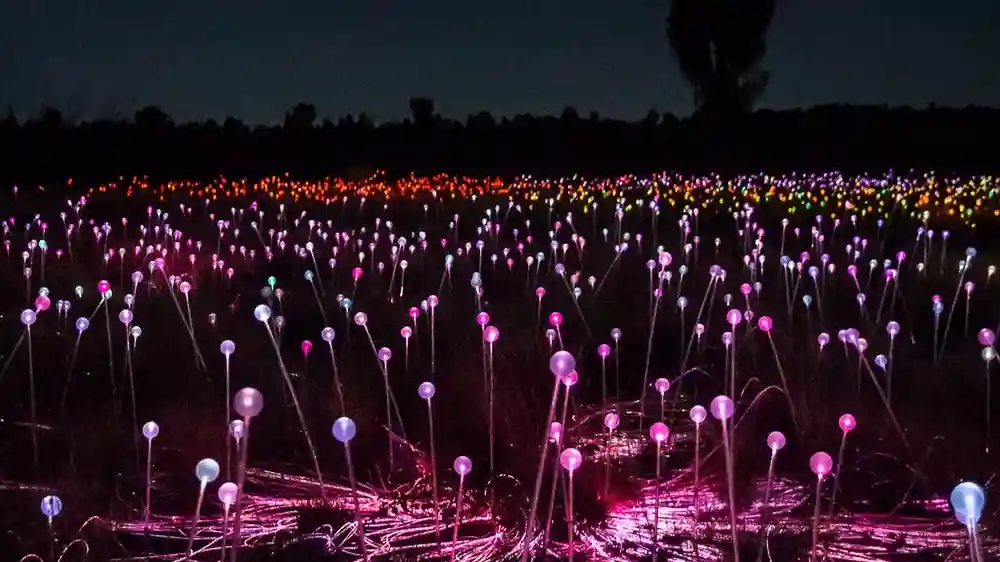 Field of Light Uluru : Admission générale + transfert Fournie par EXTRAGREEN HOLIDAYS GROUP MANAGEMENT PTY LTD
