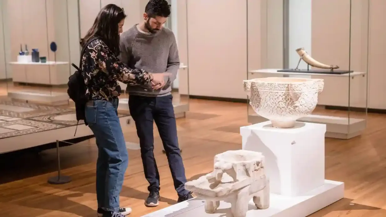 Museo Aga Khan: Biglietto d'ingresso
