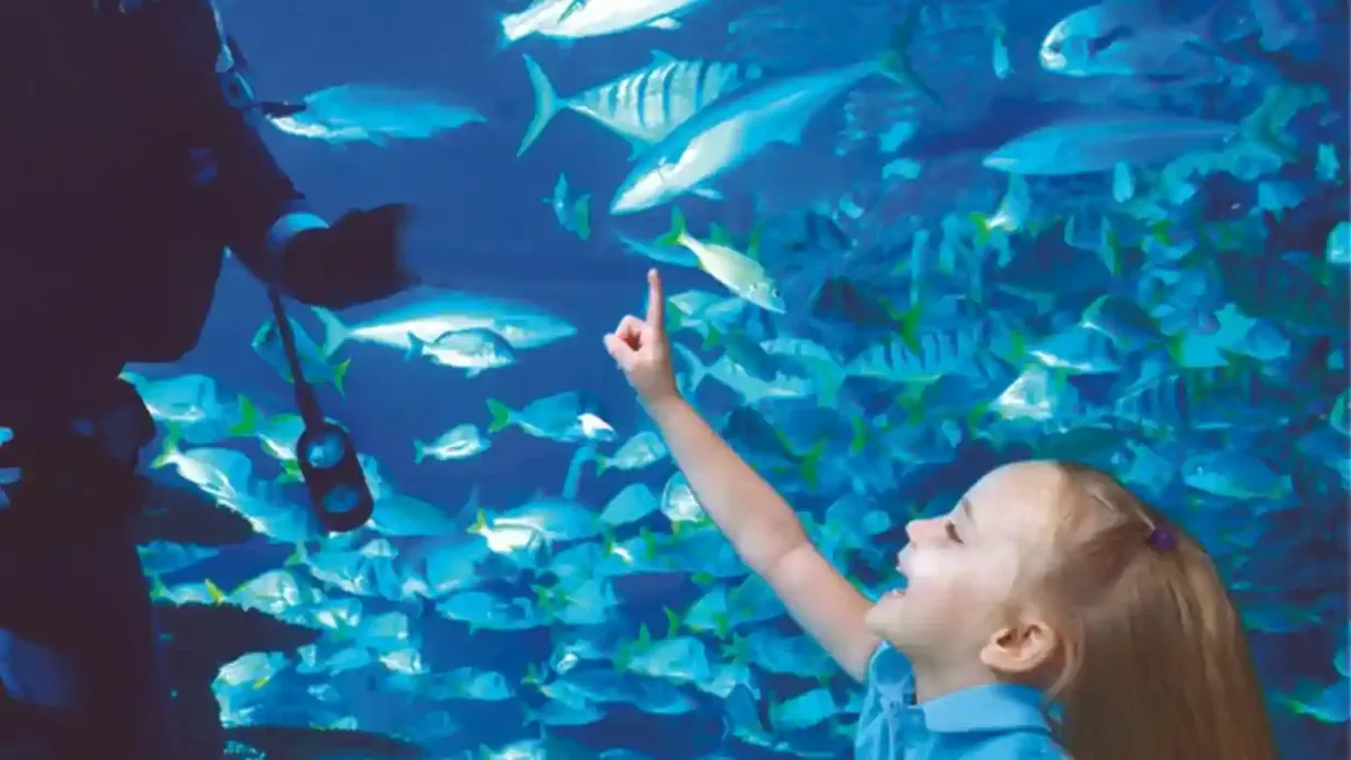Houston CityPASS®: Admission to 5 Attractions + Discounts Provided by CityPASS, Inc.
