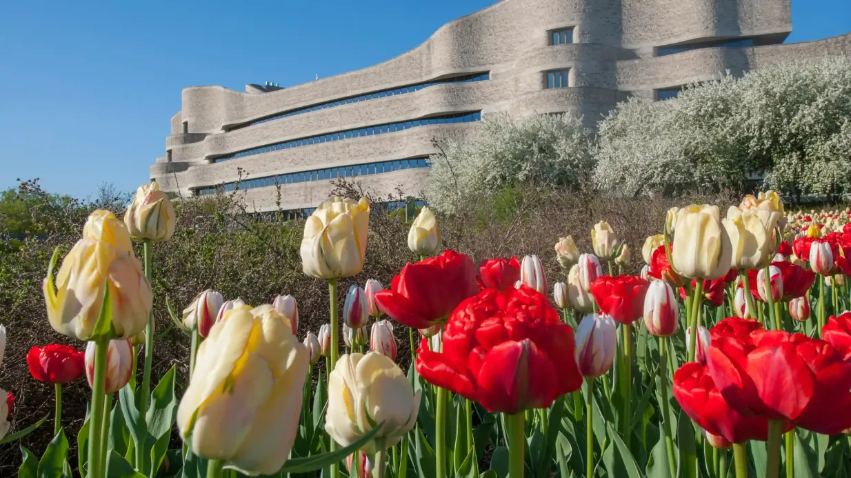 Kanadisches Museum für Geschichte: Eintritt ohne Anstehen Bereitgestellt von Canadian Museum of History