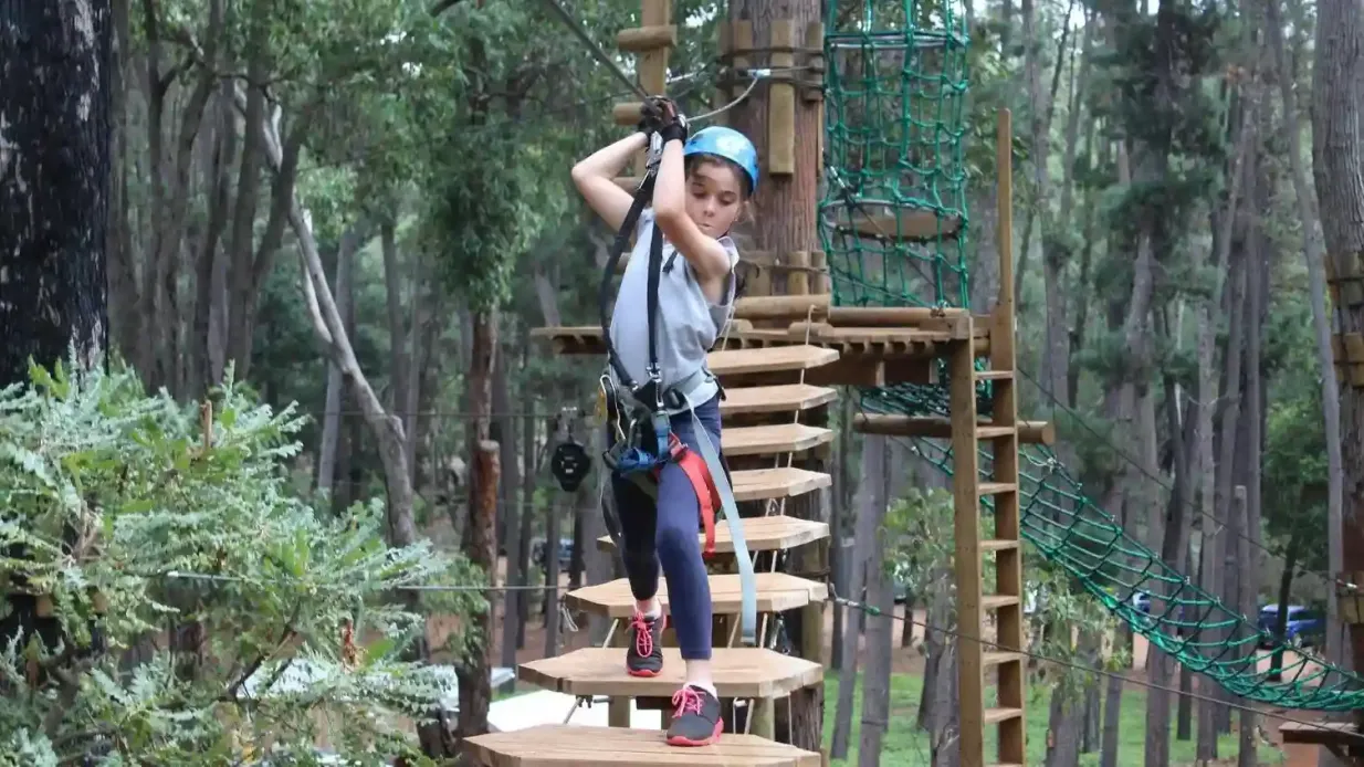 L'habillage : Aventure à la cime des arbres Fournie par TREES ADVENTURE HOLDINGS PTYLTD
