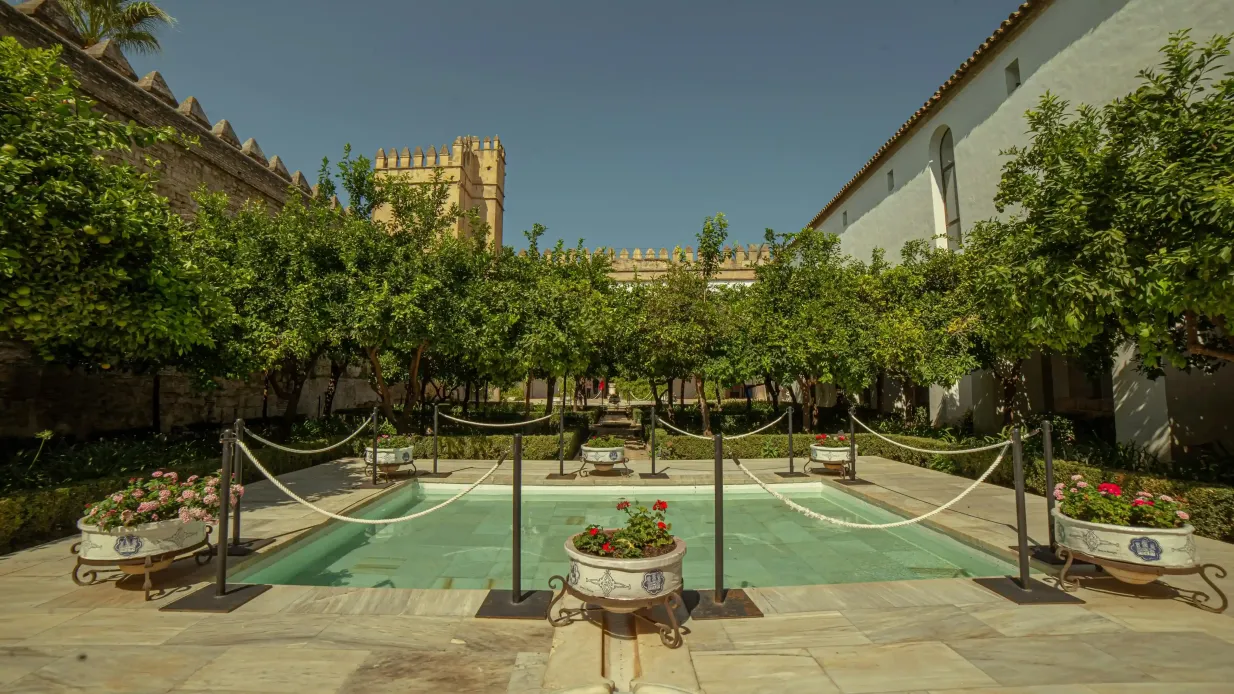 Guided Córdoba Highlights Walking Tour