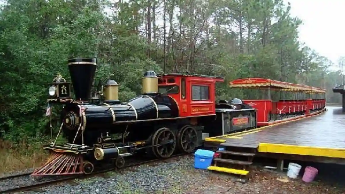 Okefenokee Swamp Park: Entry Ticket + Guided Tour Provided by Okefenokee Swamp Park