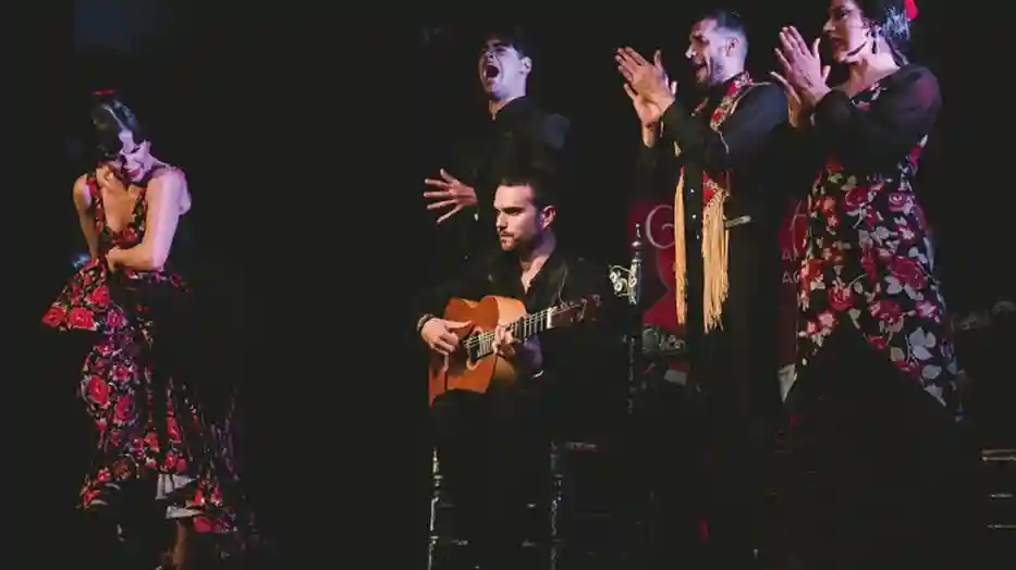 Casa Ana Granada: Espectáculo Flamenco Tradicional Operado por Flamenco Casa Ana