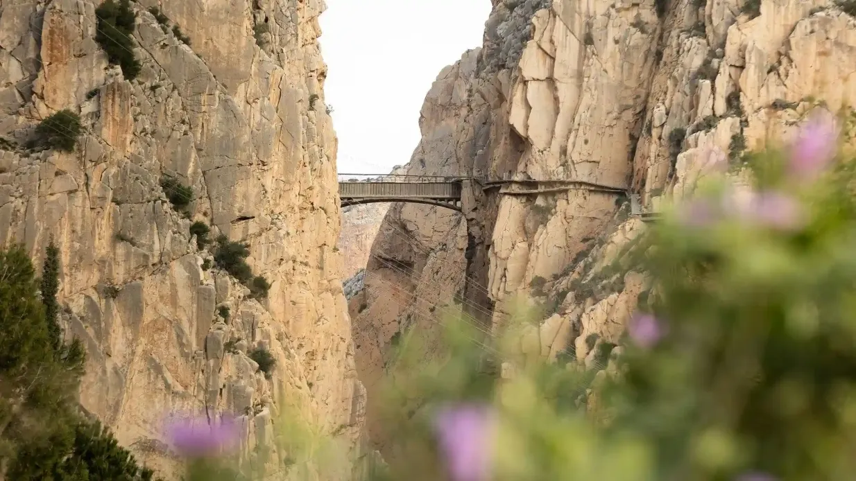 Caminito del Rey : Visite en français + Transfert en navette aller simple Fournie par Iniciativas El Chorro S.L.U.
