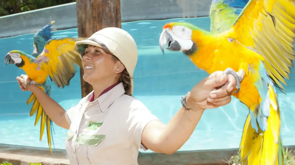 Jungle Park: Eintrittskarte Bereitgestellt von Aspro Parks Canarias SL - Jungle Park