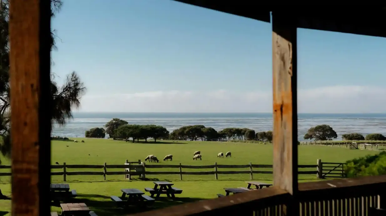 Phillip Island : Billet d'entrée pour Churchill Island Fournie par Tiqets International B.V.