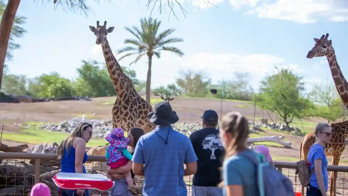 Phoenix Zoo: Entry Ticket Provided by Phoenix Zoo
