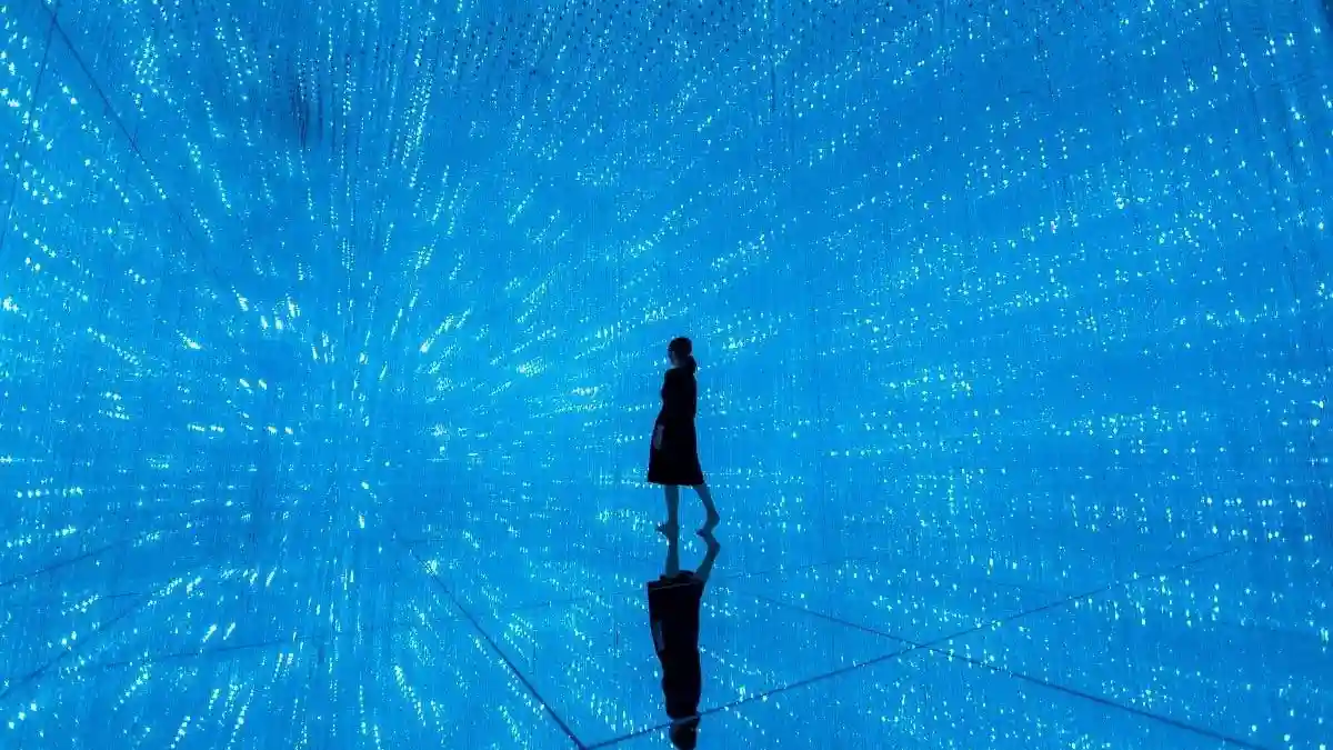 teamLab Planets Tokyo: Premium Pass