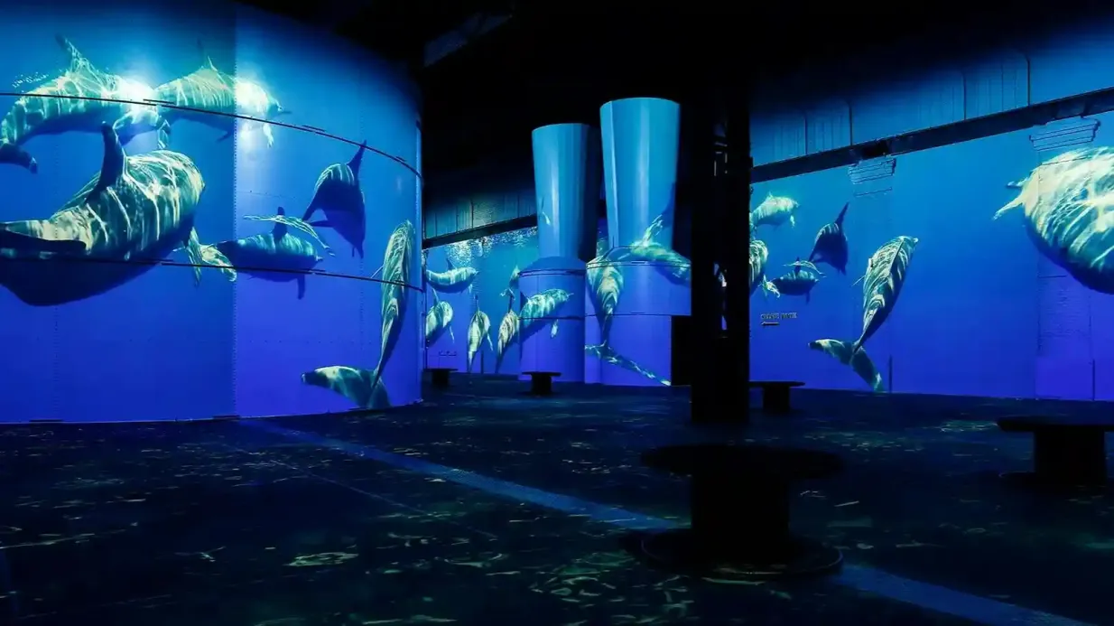 Phoenix des Lumières: The Wonders of the Ocean - An Immersive Dive Provided by Phoenix des Lumières Dortmund