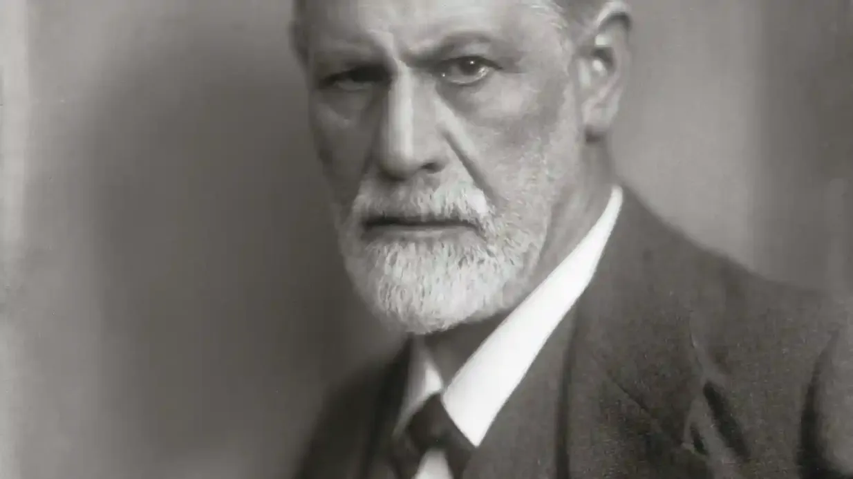 Museo Sigmund Freud: Entrada