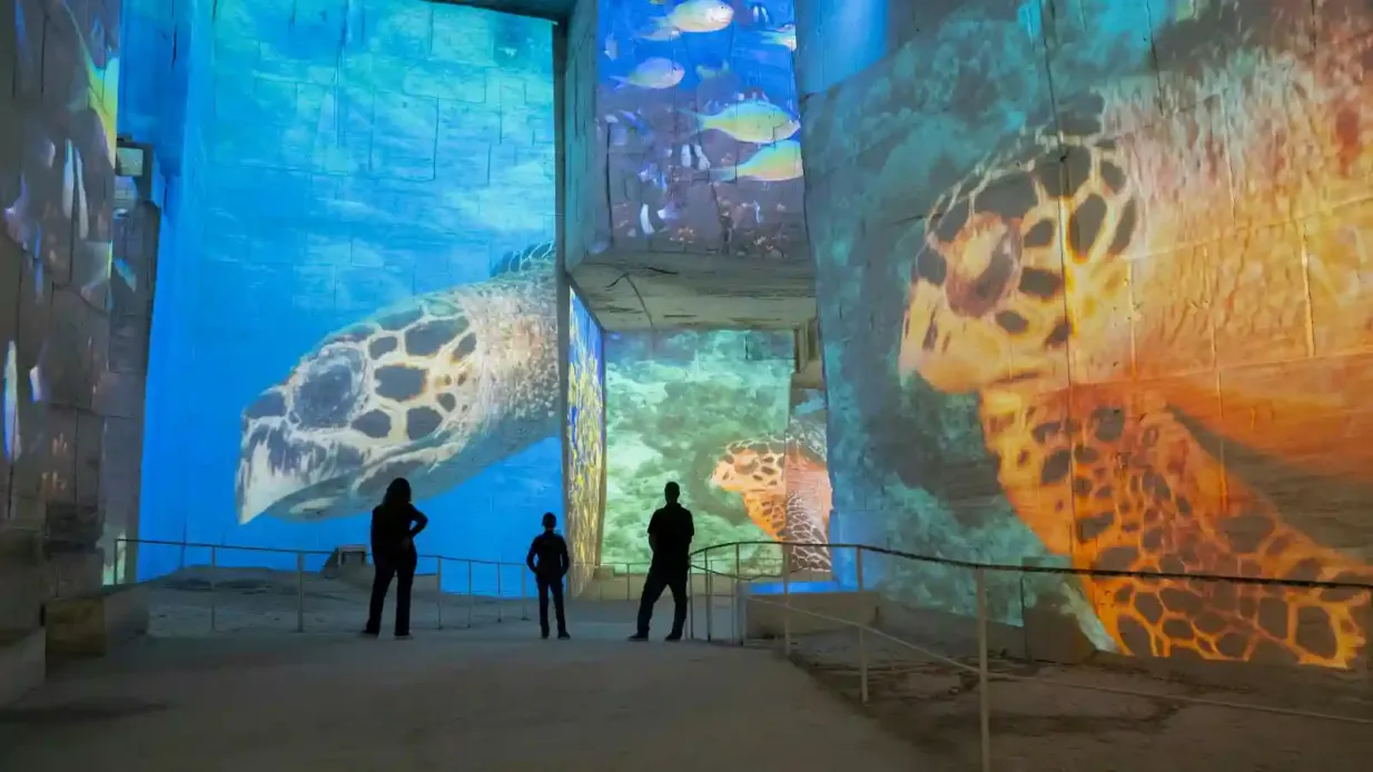 Carrières des Lumières: Ocean Exhibition Provided by Carrières des lumières
