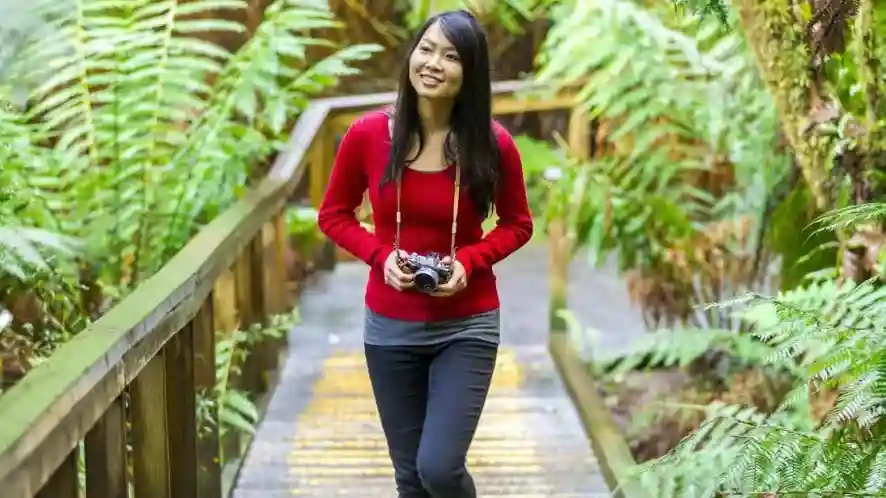 Otway Fly Treetop Adventures : Promenade dans les arbres Fournie par AUSTRALIA FLY & CLIMB PTY LTD
