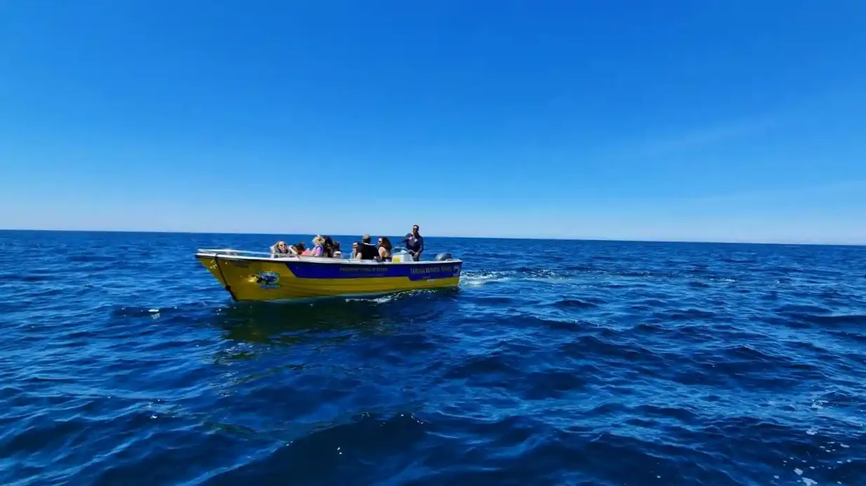 Cavernas de Benagil: Passeio de barco tradicional na praia de Benagil Organizado por Vento  Aprumado Lda