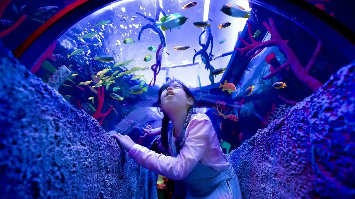 SEA LIFE Malaysia: Eintrittskarte Bereitgestellt von Tiqets International B.V.