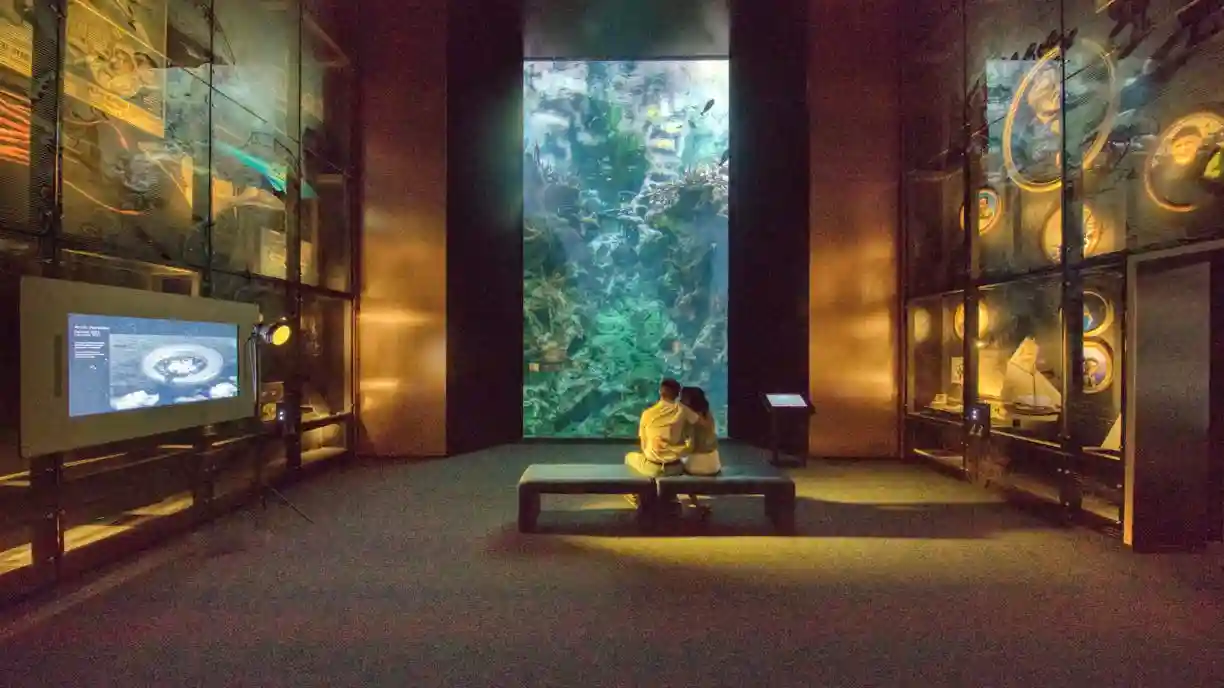 La Cité de la Mer: Entry Ticket Provided by Tiqets International B.V.
