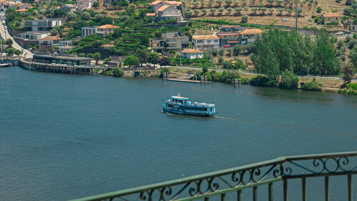 Valle del Douro: Tour in barca + pranzo da Régua Fornito da Living Tours Viagens e Turismo LDA
