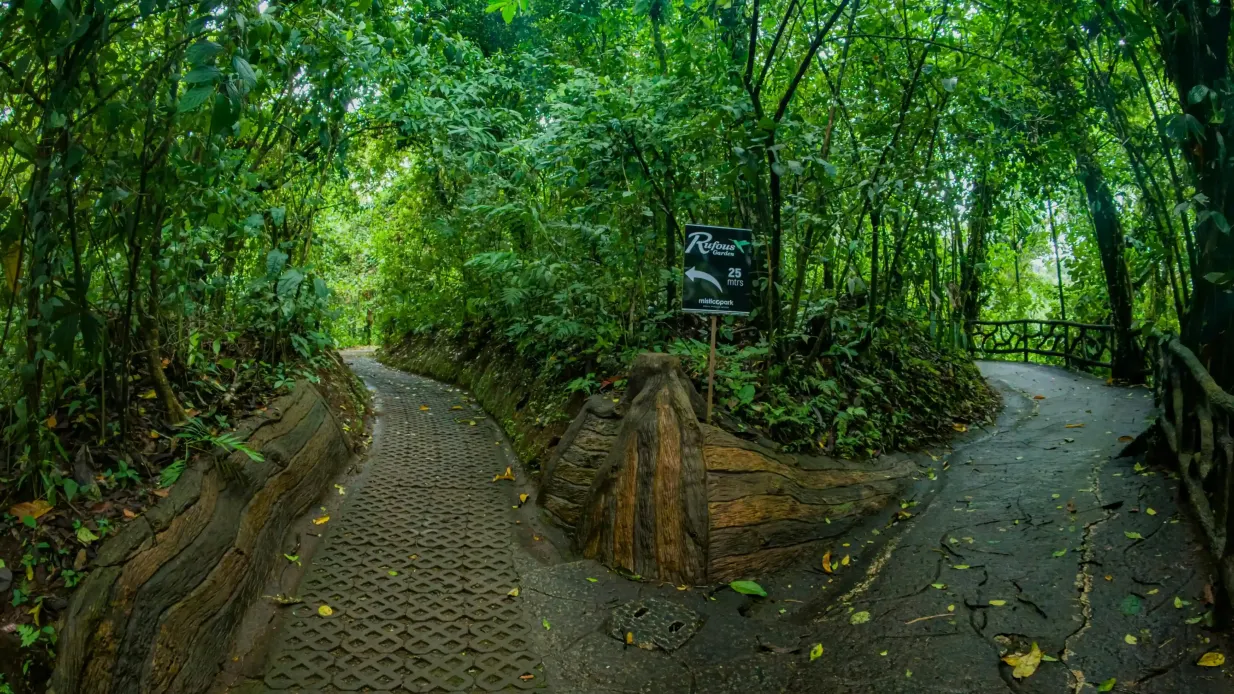 Parc des ponts suspendus Mistico Arenal : Billet d'entrée Fournie par NALAVI VERDE S.A.