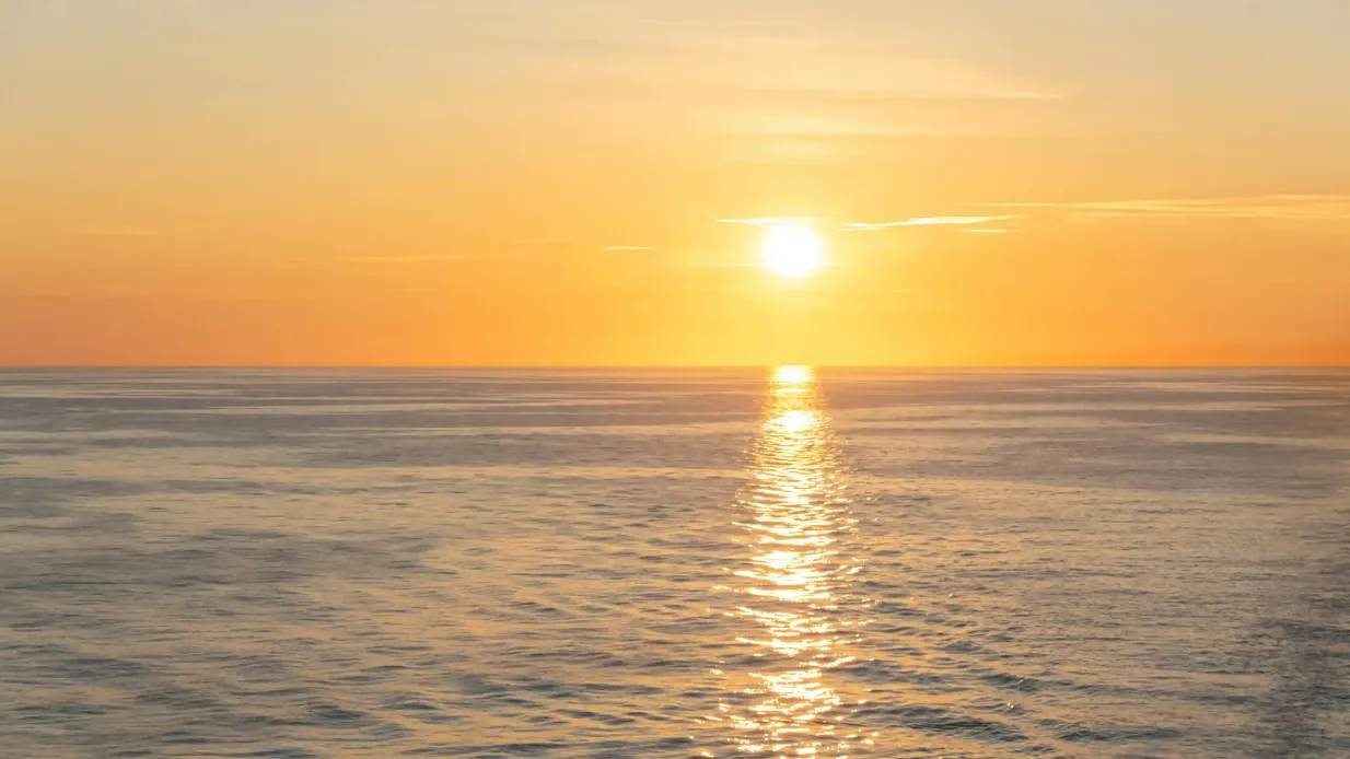 Malaga: Sunset Catamaran Cruise + Drink Provided by INNOVA CRUCEROS SL