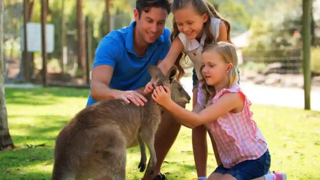 Paradise Country : L'expérience authentique d'une ferme australienne Fournie par Tiqets International B.V.