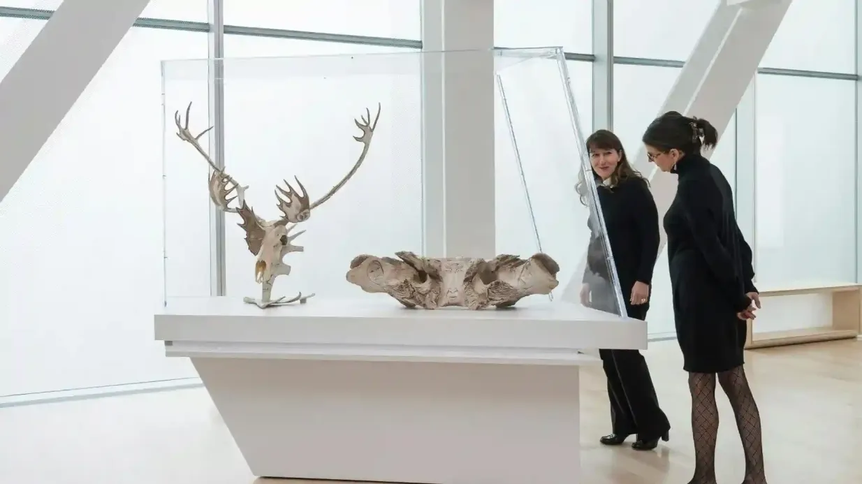 Musée National des Beaux-Arts du Québec (MNBAQ): General Admission Provided by Musée national des beaux-arts du Québec