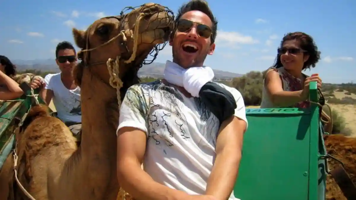 Maspalomas Dunes Camel Ride Provided by TOURADVISOR DMC SL