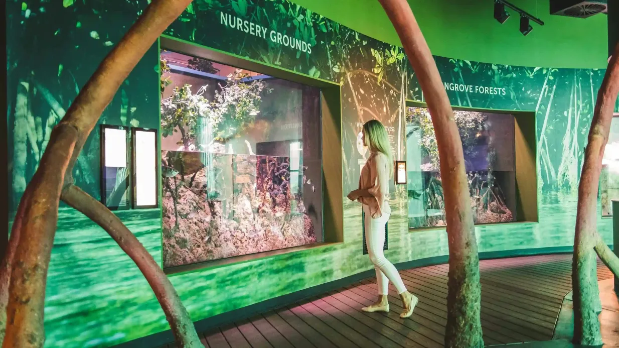 Acquario di Cairns e Tomba dei Faraoni: Biglietto d'ingresso Fornito da Cairns Aquarium & Reef Research Centre Pty Ltd