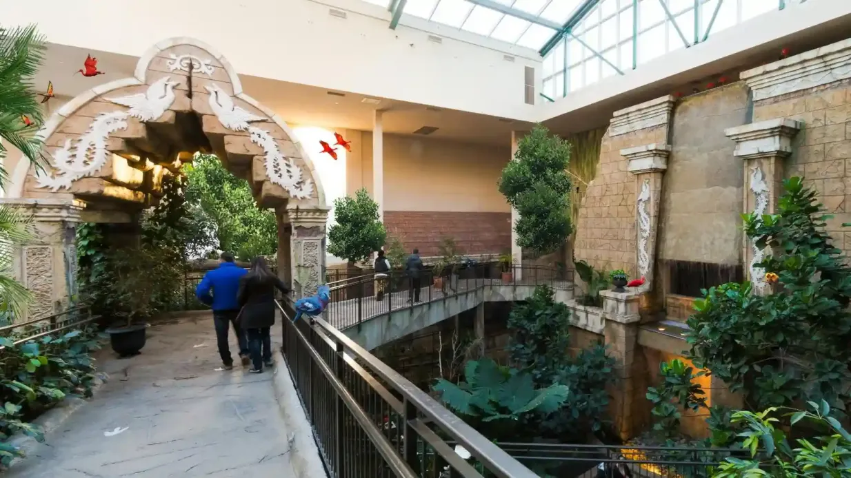 Regno degli uccelli Cascate del Niagara: Biglietto d'ingresso Fornito da Bird Kingdom: Entry Ticket
