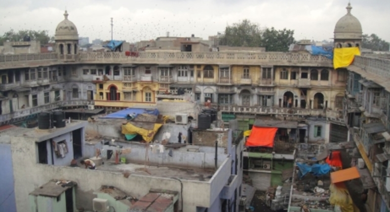 Passeio de bicicleta pela Velha Deli  Índia — #8