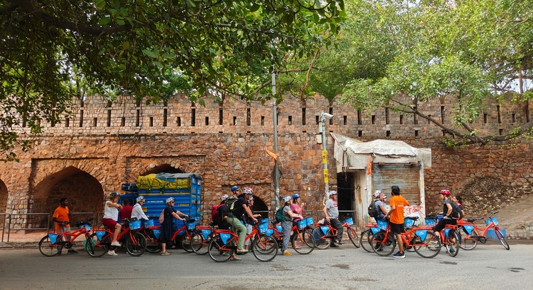 Passeio de bicicleta pela Velha Deli  Índia — #3