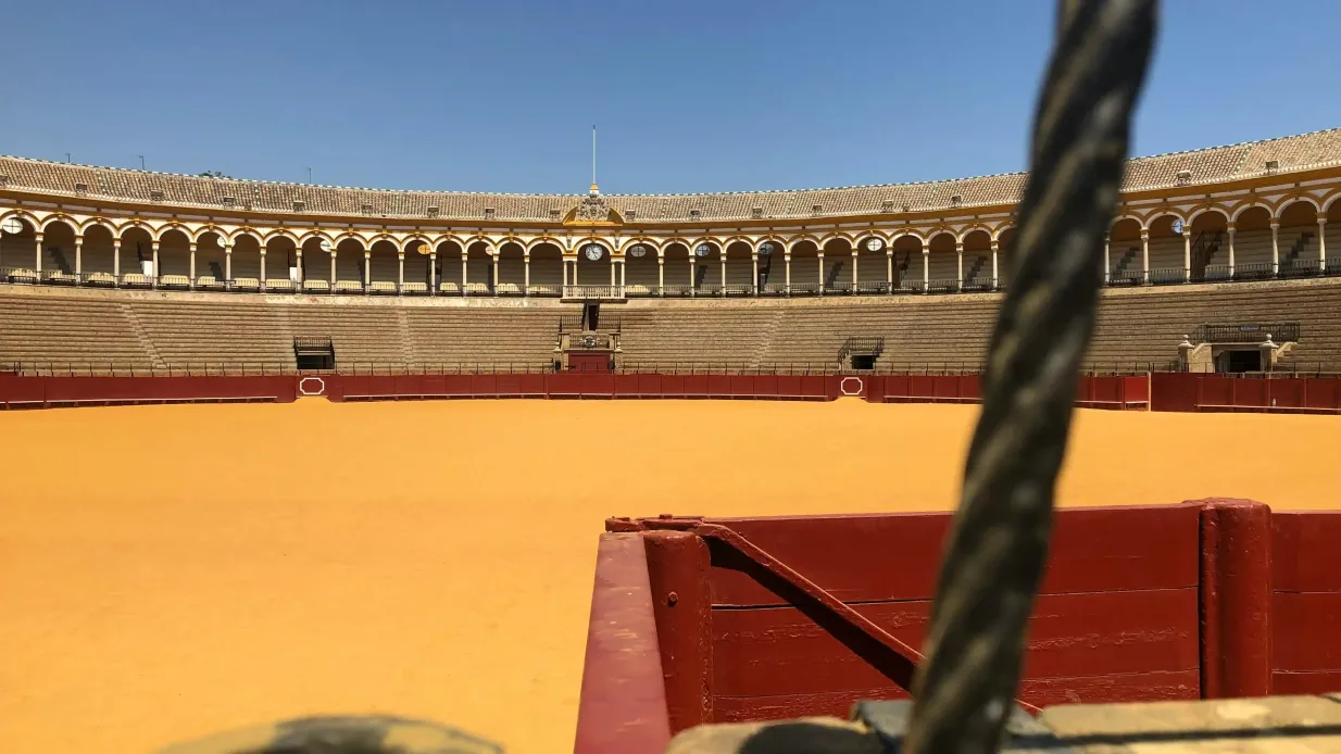 Real Maestranza : Visite guidée