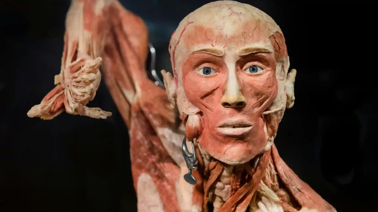 BODY WORLDS - The Happiness Project: bilhete sem filas Organizado por Tiqets International B.V.