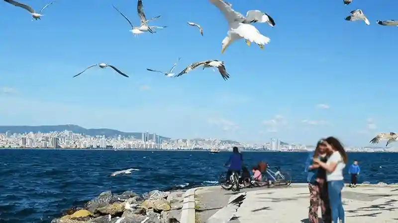 Istanbul: Roundtrip Ferry Ticket To/From Princes' Islands Provided by Cosmic Tickets Audios Turizm ve Tic. Ltd Sti.