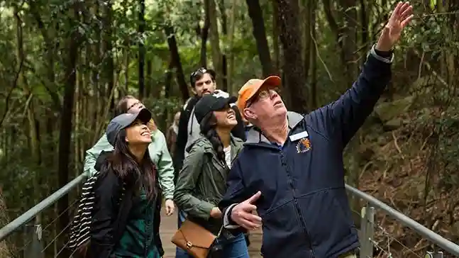 Montagnes bleues : Circuit tout compris au départ de Sydney avec le zoo de Sydney et Scenic World Fournie par Australian Tours & Attractions Pty Ltd