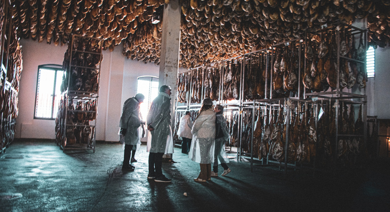 Tour privato dell'allevamento di maiali Dehesa e degustazione di prosciutto iberico Spagna — #9