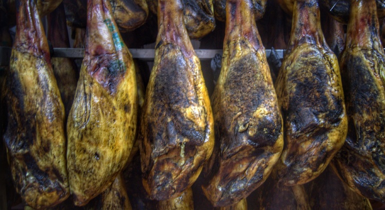 Tour privato dell'allevamento di maiali Dehesa e degustazione di prosciutto iberico Spagna — #12