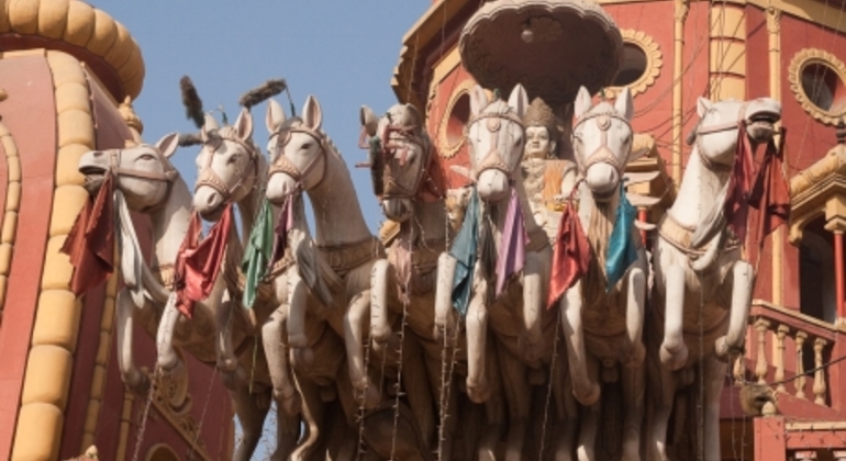 Yamuna River Bike Tour in Delhi India — #16