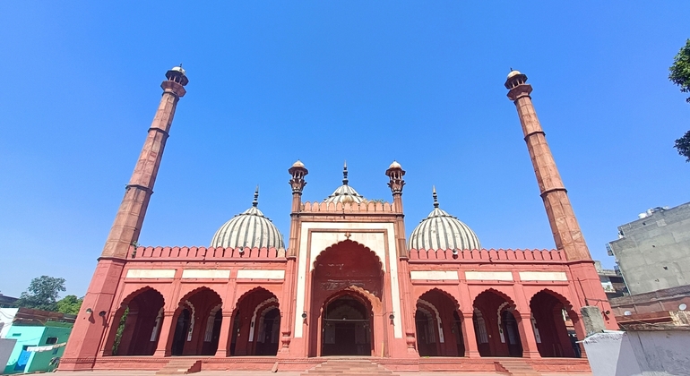 Yamuna River Bike Tour in Delhi India — #11