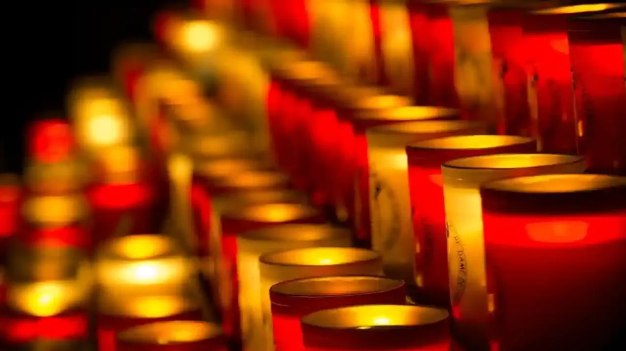 Catedral de Notre-Dame de Paris: tour guiado
