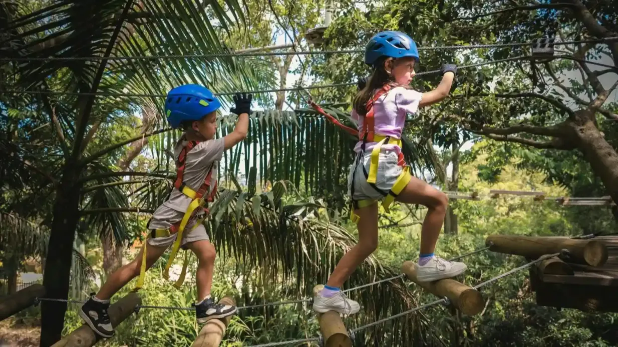 Treetops Adventure Nowra : Parcours de cordes junior Fournie par TREES ADVENTURE HOLDINGS PTYLTD