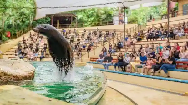 Singapore Zoo: Biglietto d'ingresso