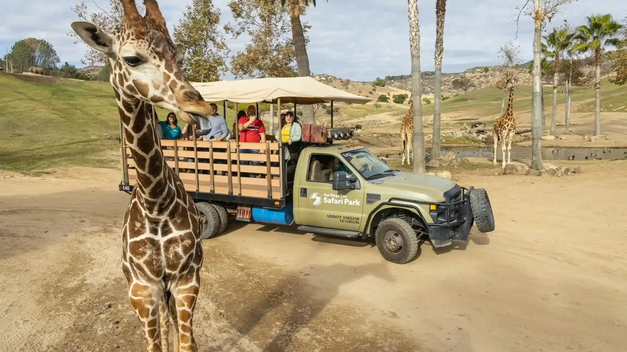 San Diego Zoo & Safari Park: Passe para 2 visitas Organizado por San Diego Zoo