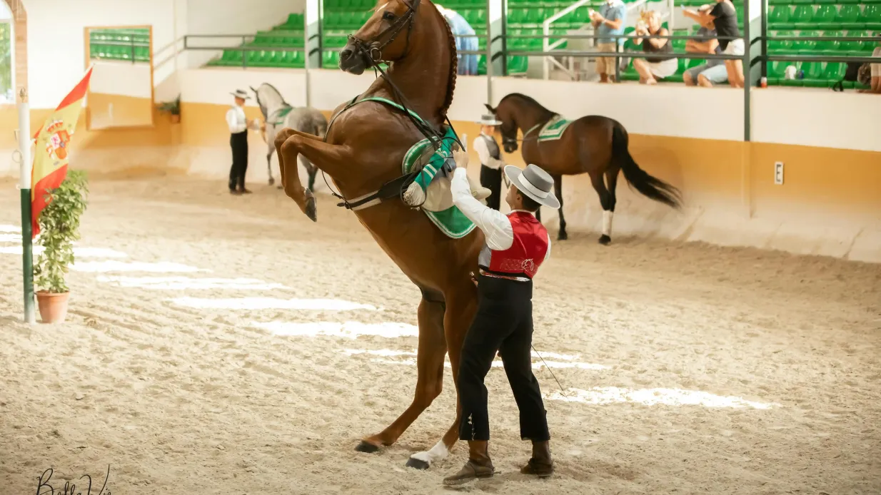 Club Hipico El Ranchito: Andalusian Horse and Flamenco Show