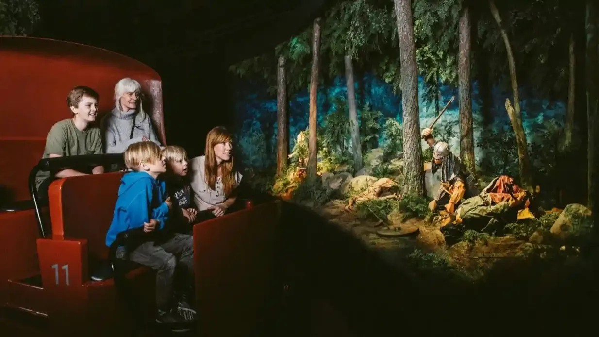 Musée des Vikings : Billet d'entrée